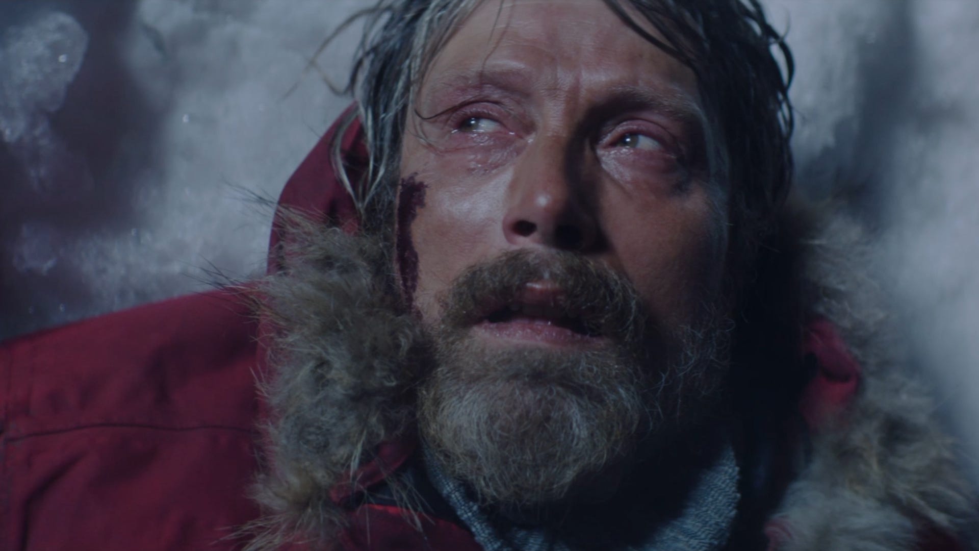 Arctic To Cast Away 8 Crazy Survival Movies To Watch