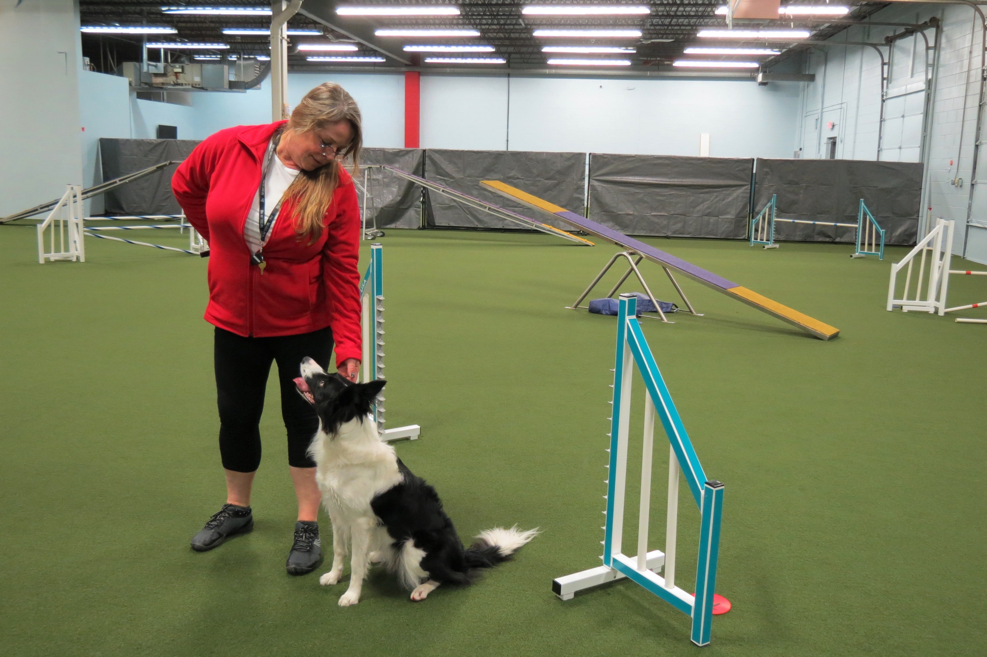 Redline Canine Training Center 2025