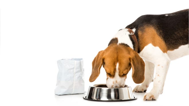 Hills Pet Nutrition Recalls Pet Food Because Of Toxic Vitamin D Levels