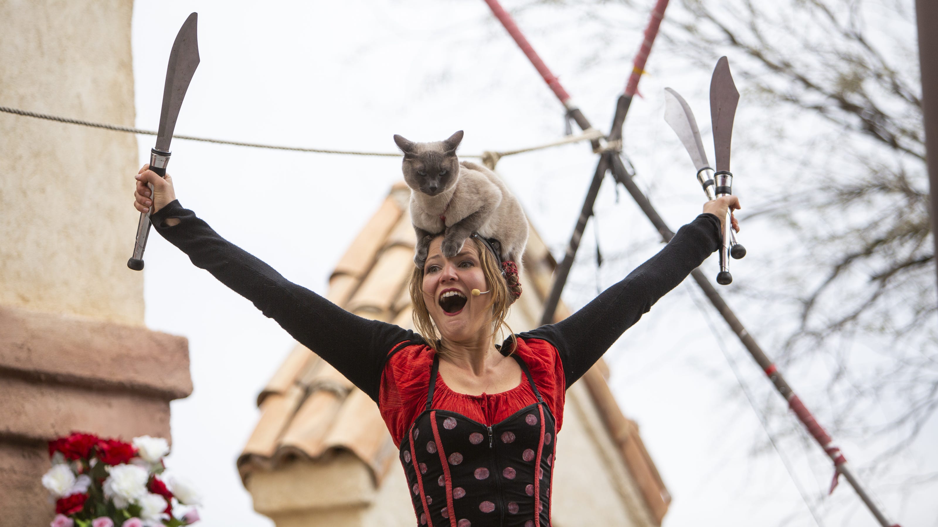 Arizona Renaissance Festival 2020: Discounts, coupons ...