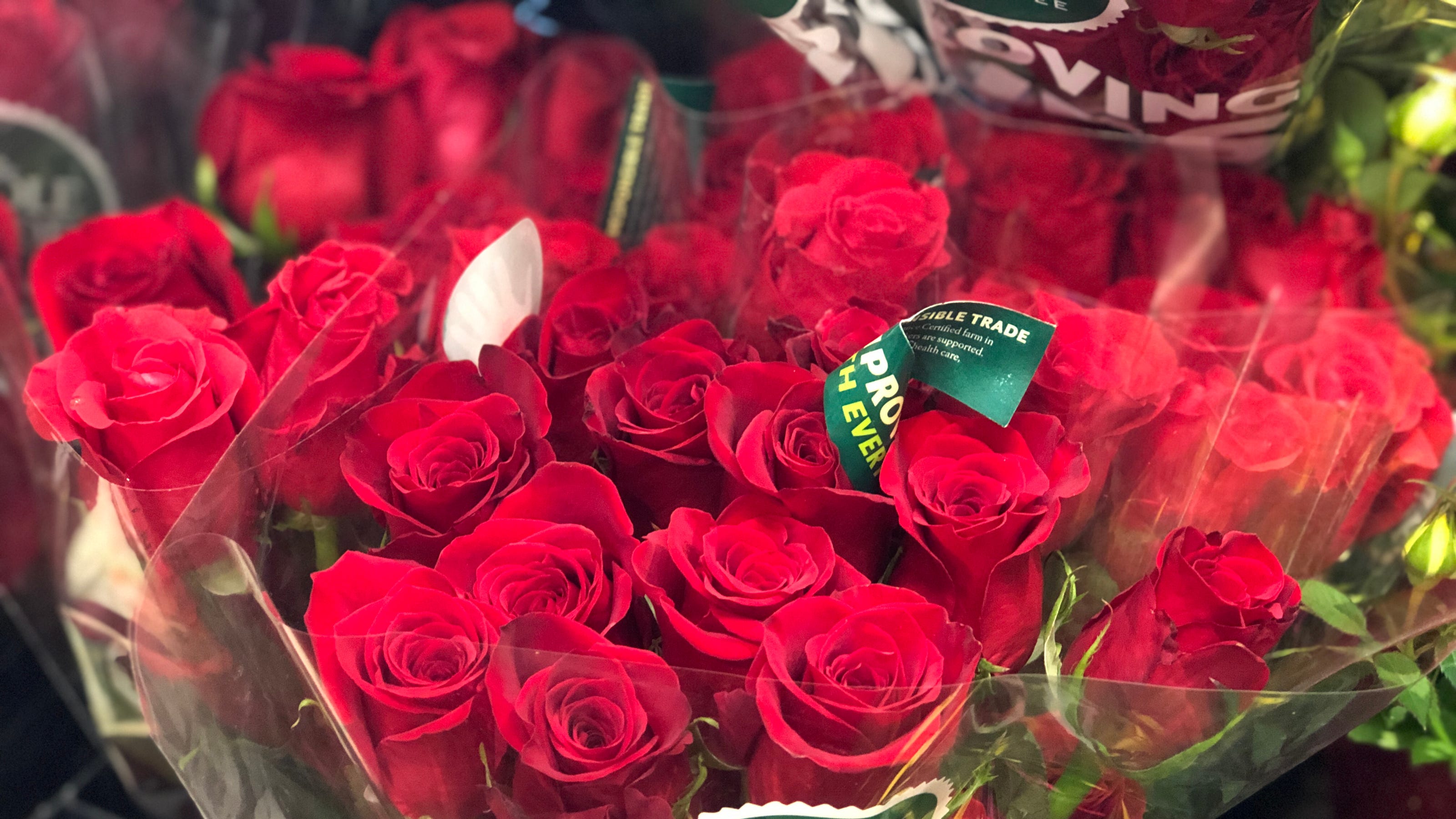 Whole Foods Roses Low Prices Valentine S Day