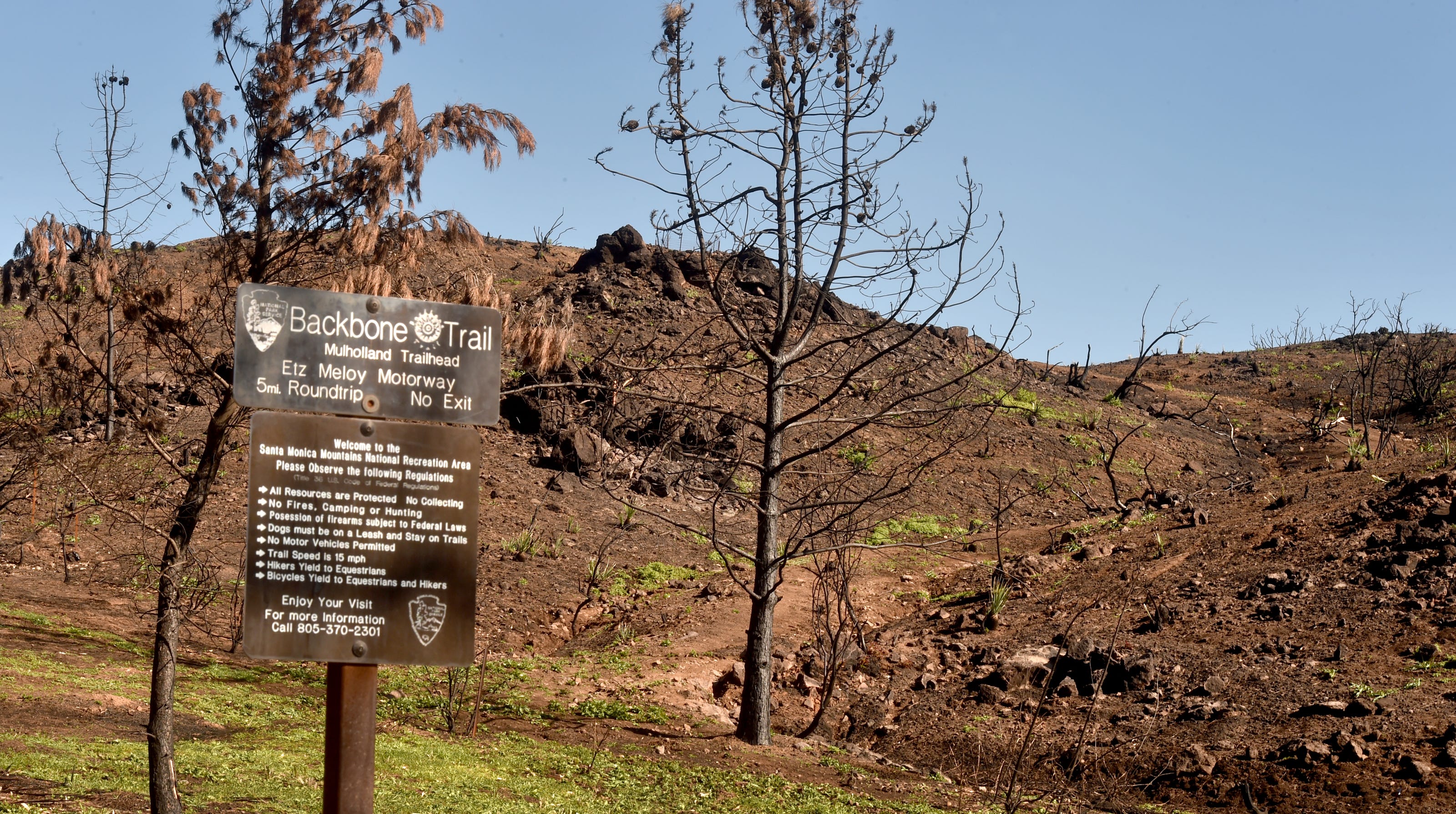 Edison to pay $20 million for damage suffered by local parks during Woolsey Fire