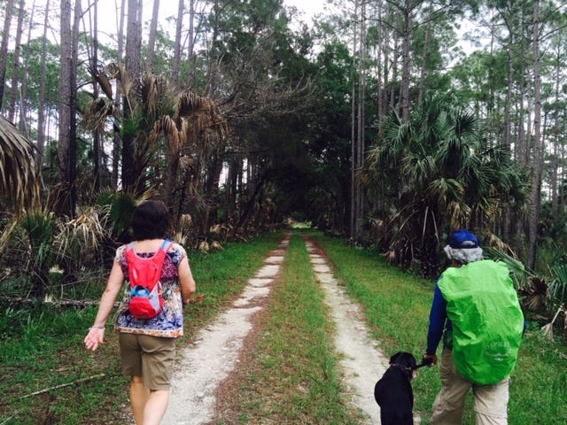 Move walkers will hike at the St. Marks National Wildlife Refuge on Saturday.