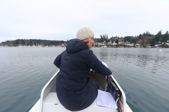 Sue Entress, president of Bainbridge Island Rowing's board, looks out at the Dave Ullin Open Water Marina in Eagle Harbor on a chilly Thursday.