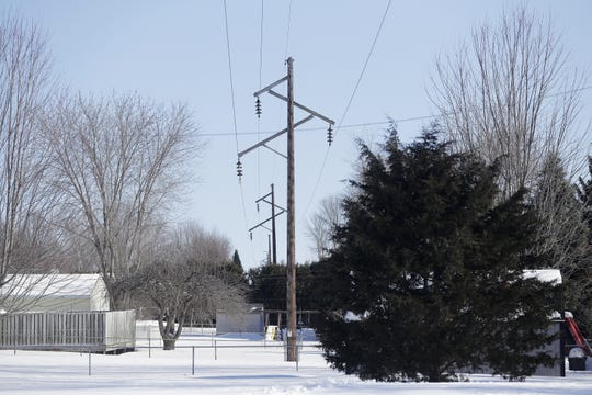 Green Bay Residents Fight American Transmission Co To Save Trees