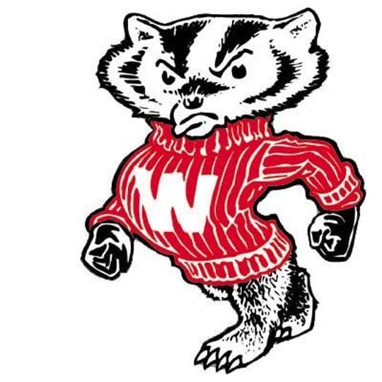 bucky badger pop