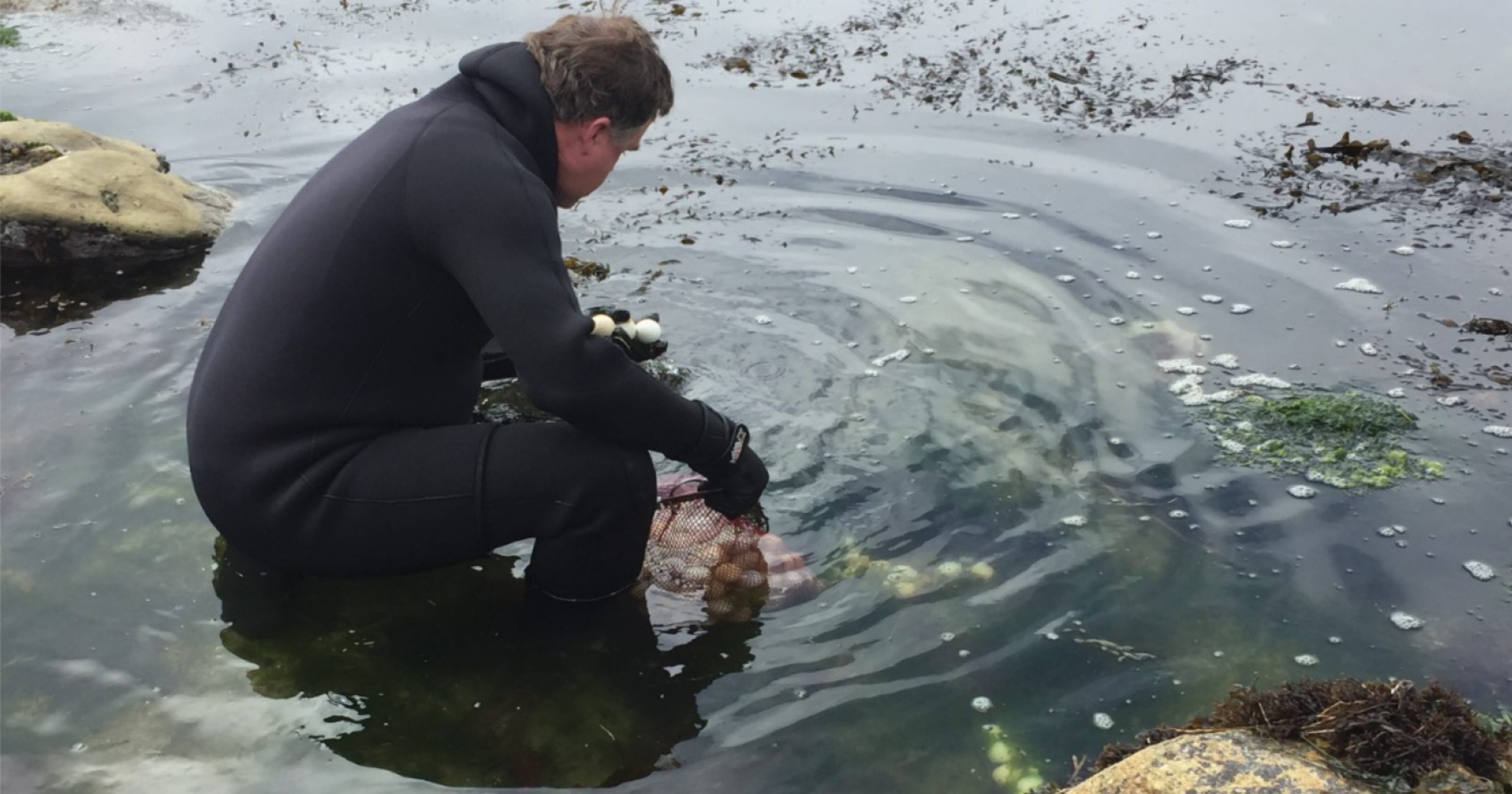 Activist prompts Pebble Beach to pull golf balls out of Monterey Bay