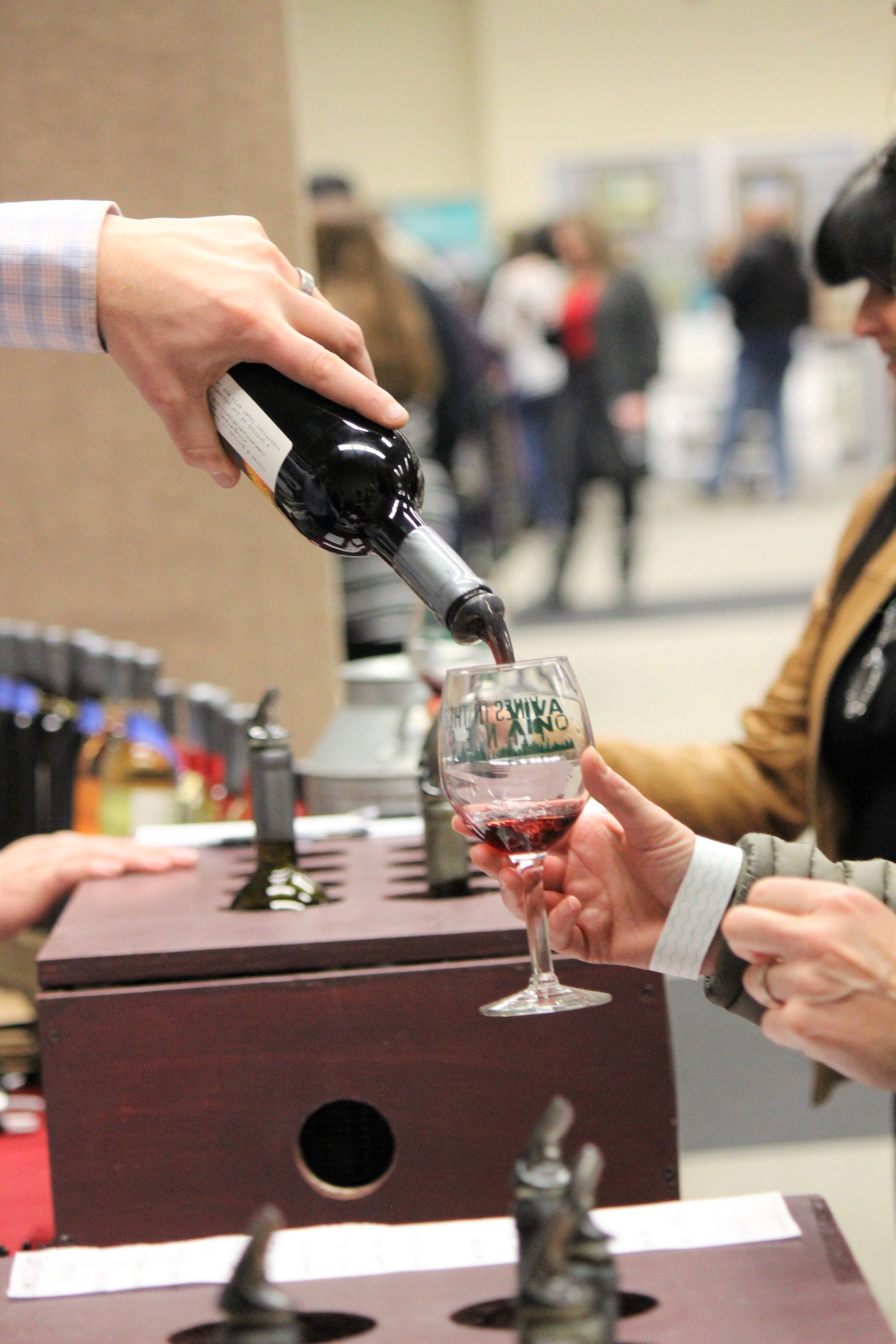 Things to do in Ruidoso, New Mexico: Your guide to adventure