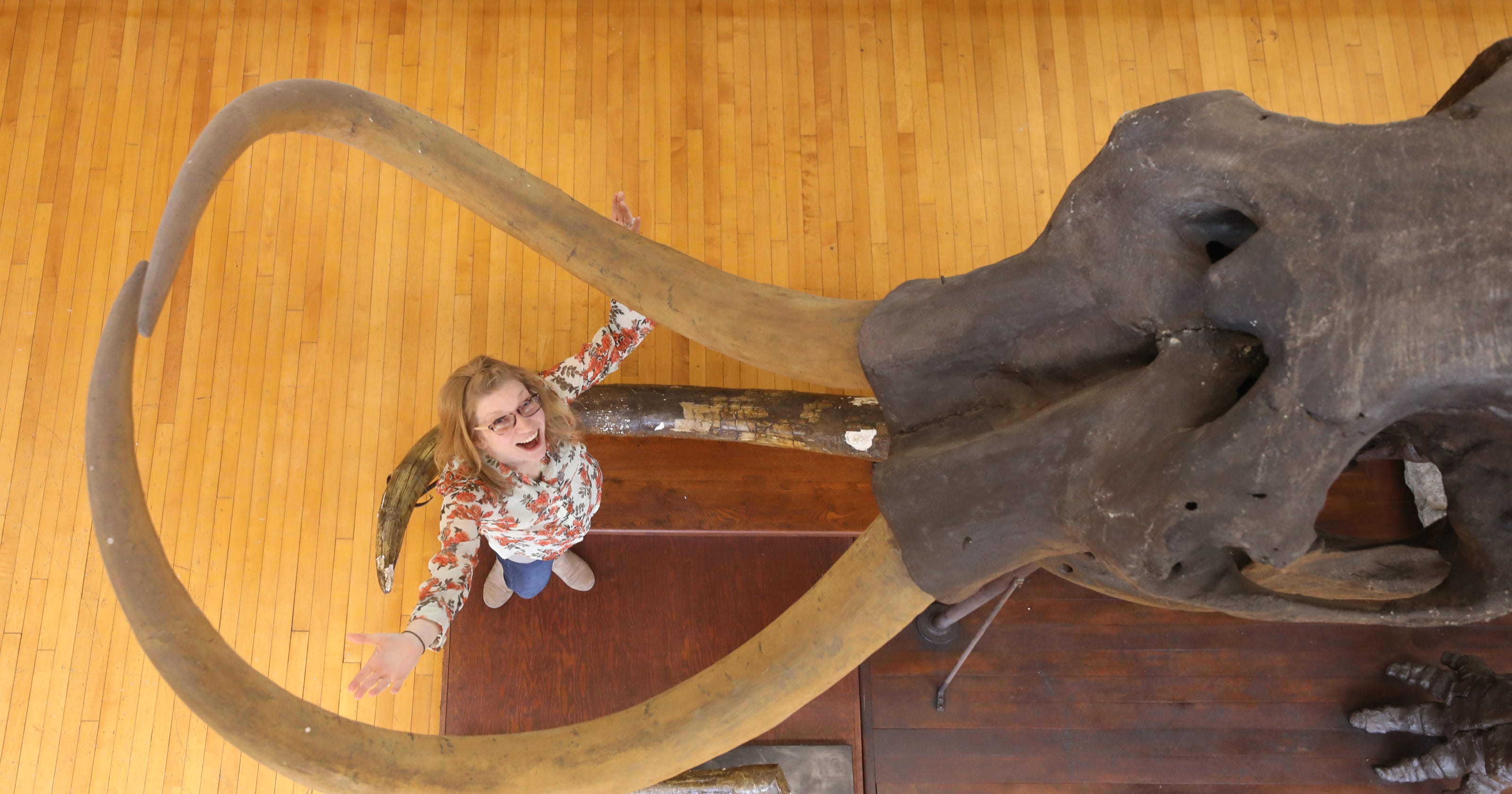 Mastodons, the unsung (and extinct) heroes of America