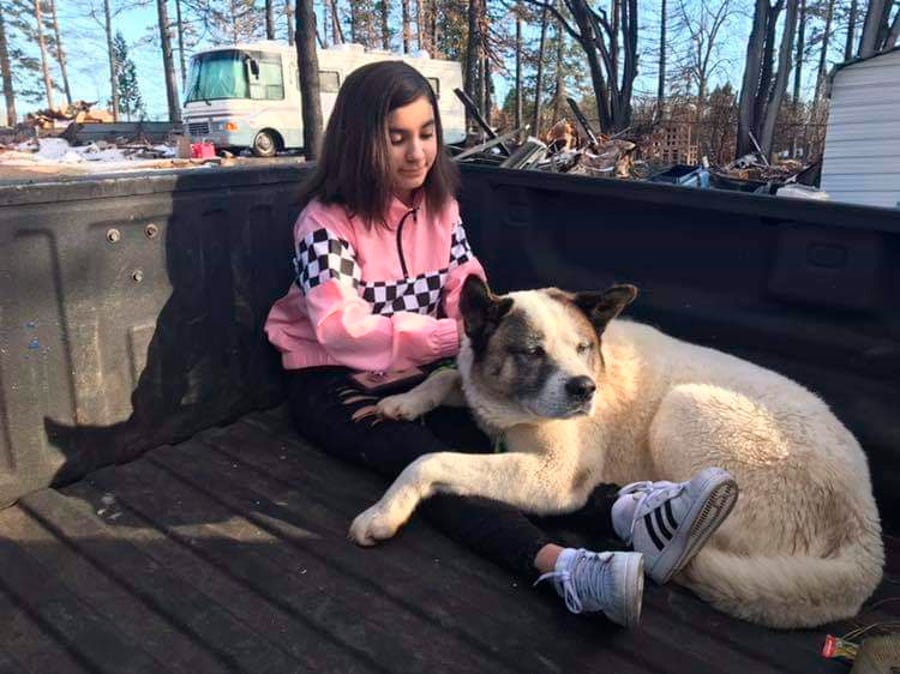This Feb. 18, 2019 photo provided by Ben Lepe shows Maleah Ballejos reunited with her dog Kingston in Paradise, Calif. The Akita named Kingston was reunited with his family 101 days after he jumped out of their truck as they fled a devastating Northern California wildfire.