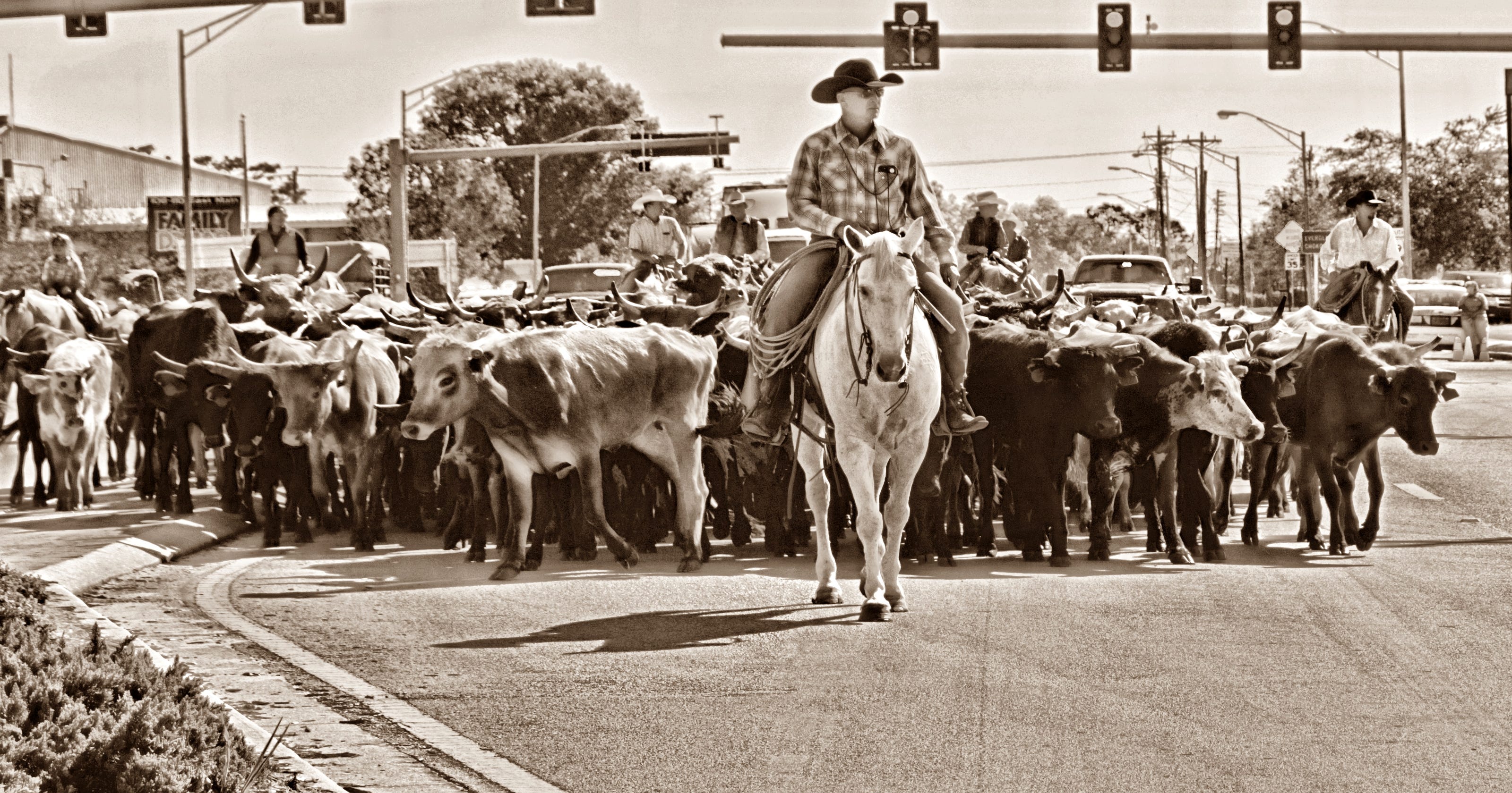 History, cultures converge at annual Immokalee Cattle Drive and Jamboree