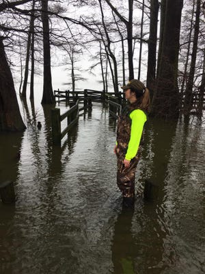 A ranger at the Reelfoot State Park stands in flood water where dry ground usually is above the boardwalk on Thursday.