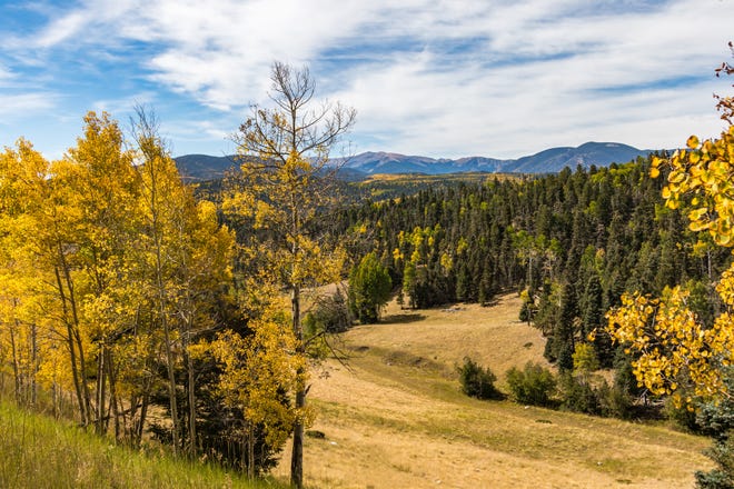 Green and gold landscape with distant mountains and wispy cloudy sky in Carson National Forest, north of Taos, NM,