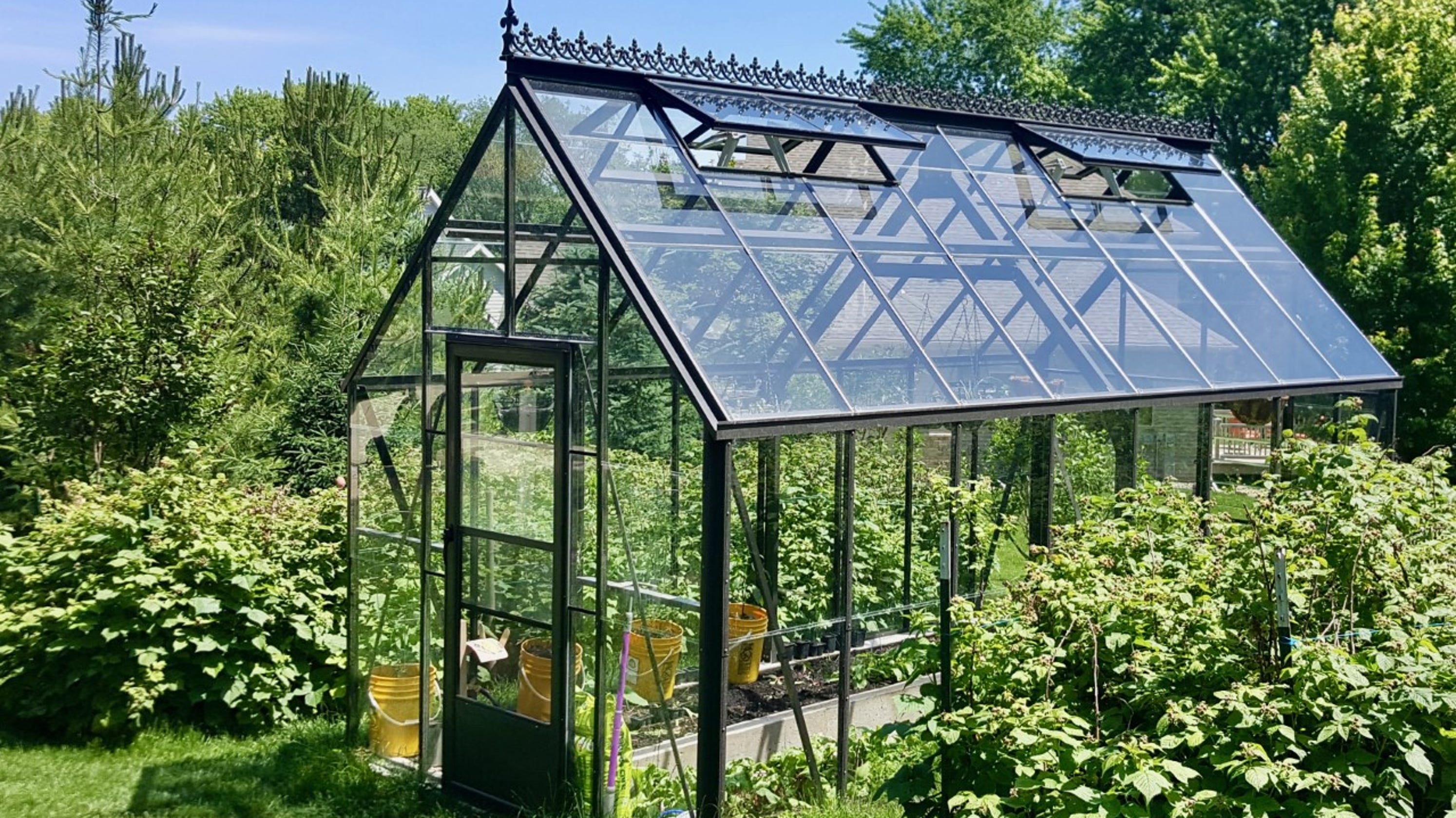 Backyard greenhouse lets you garden and harvest food even in winter
