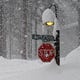 Flagstaff shatters all-time daily snowfall record with more than 31 inches
