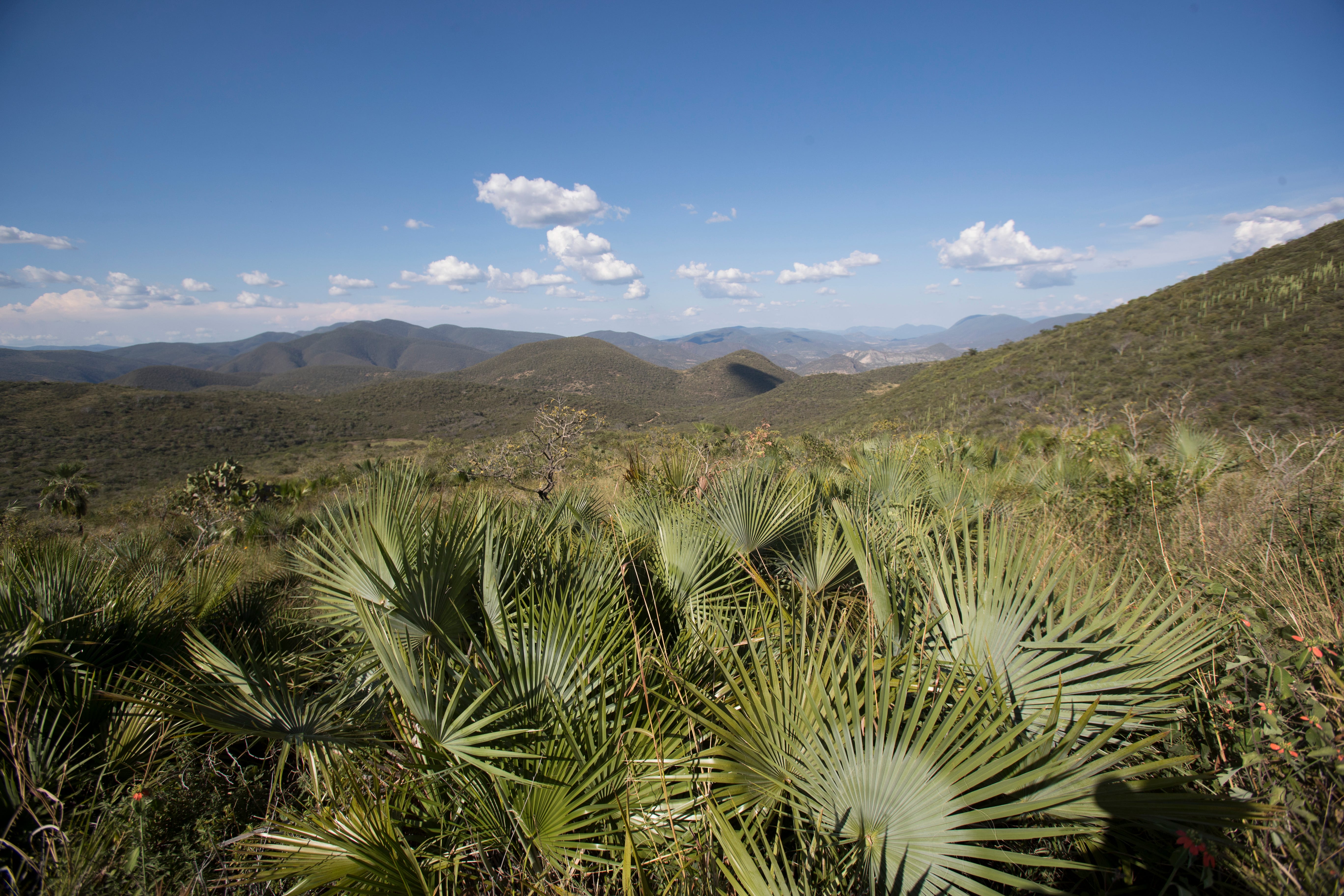 Cartel-related violence is seeping into the most remote corners of Guerrero.