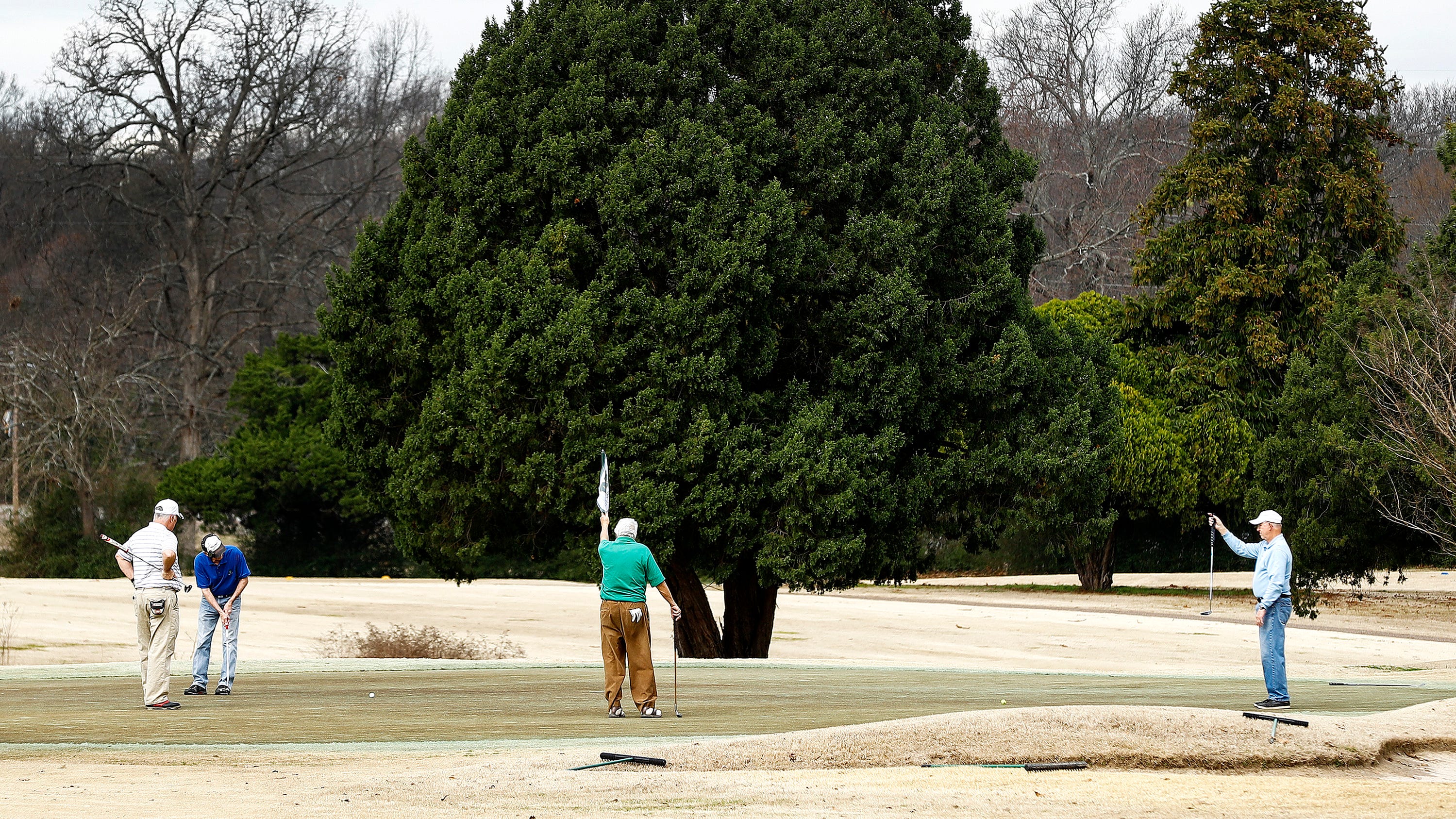 Audubon Golf Course Memphis to be redesigned by Bergin Golf Designs