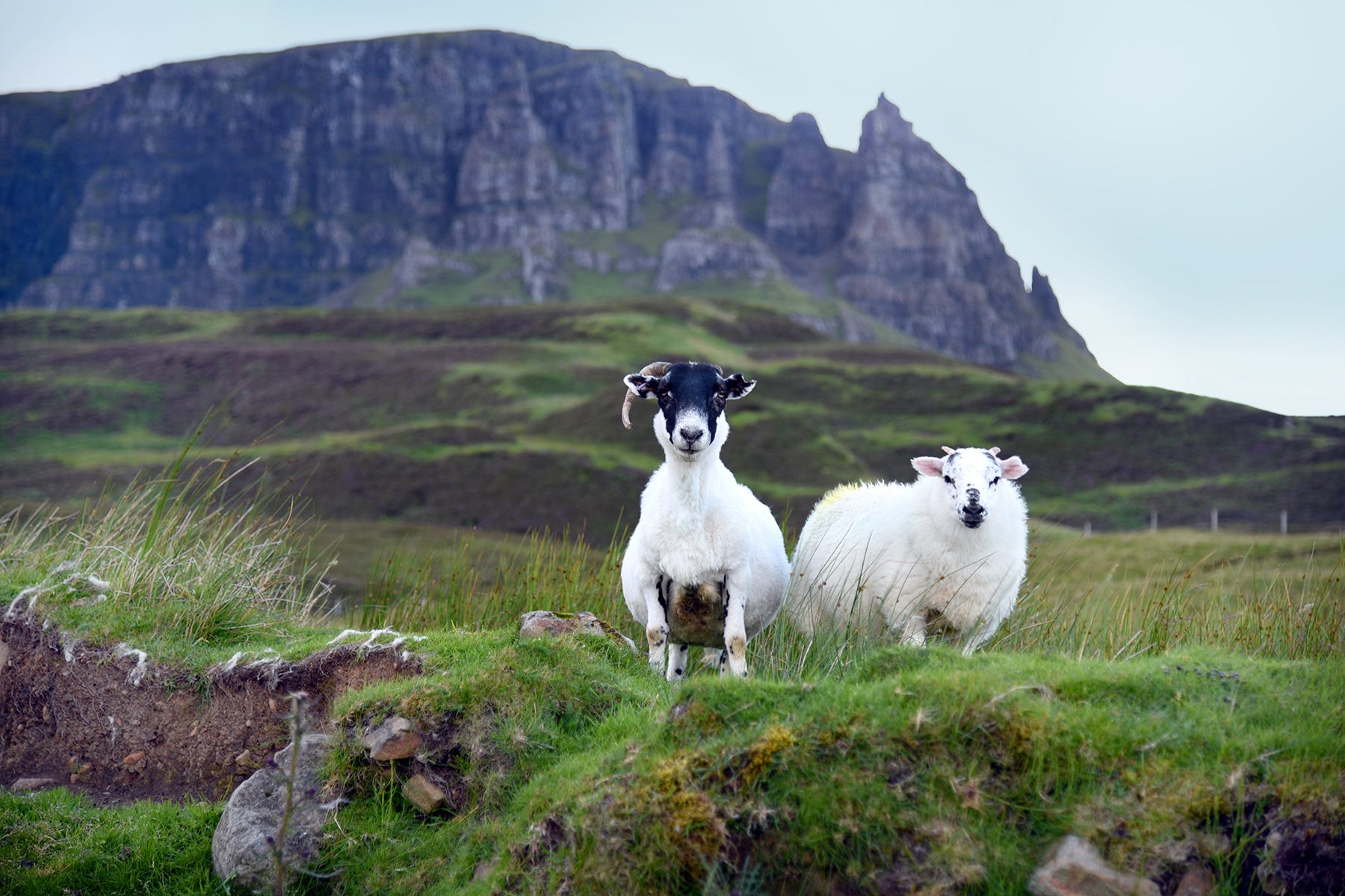 Scotland Isle Of Skye Is Home To Dramatic Scenery Cliffs And Castles