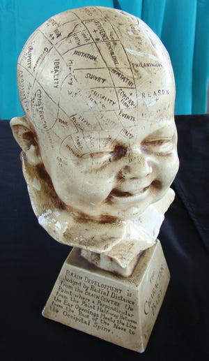 There are still those who believe in the theories of phrenology, but most who buy a phrenology head want it as a decoration.               