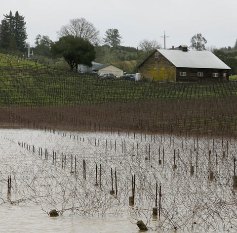 A vineyard along River Road was f flooded on...