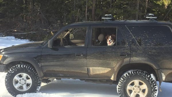 Man, dog survive snow thanks to hot sauce