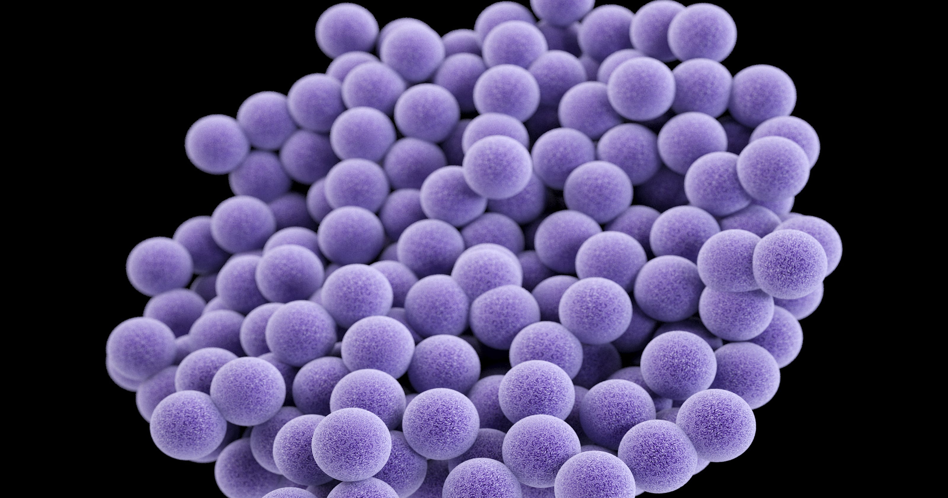 MRSA, staph infections are preventable, but killed nearly ...