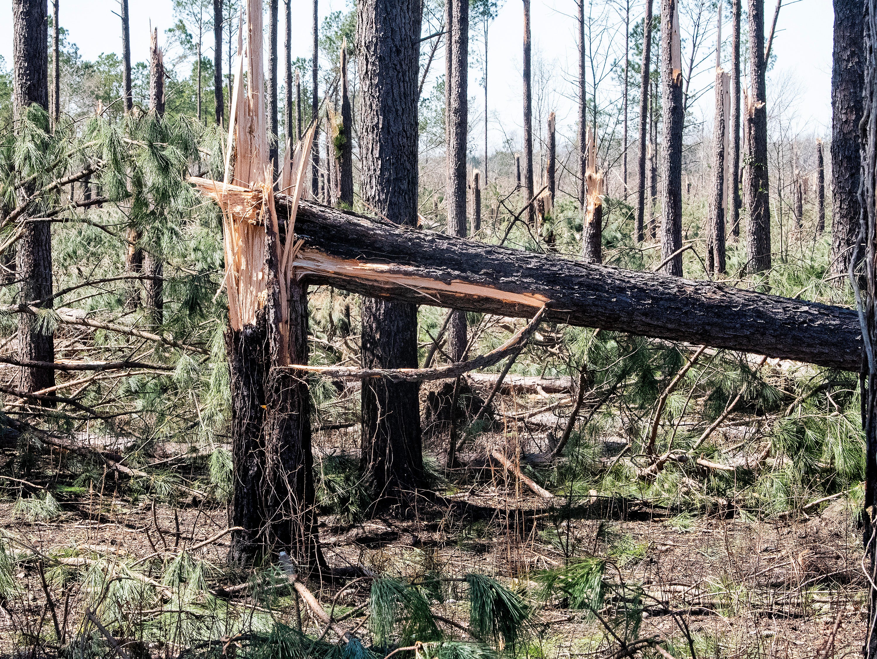Dixie Alley Why Alabama tornadoes are the deadliest in the nation