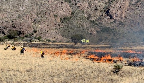 Bureau of Land Management firefighters conduct a prescribed burn near Dripping Springs Natural Area on Tuesday, March 5, 2019.