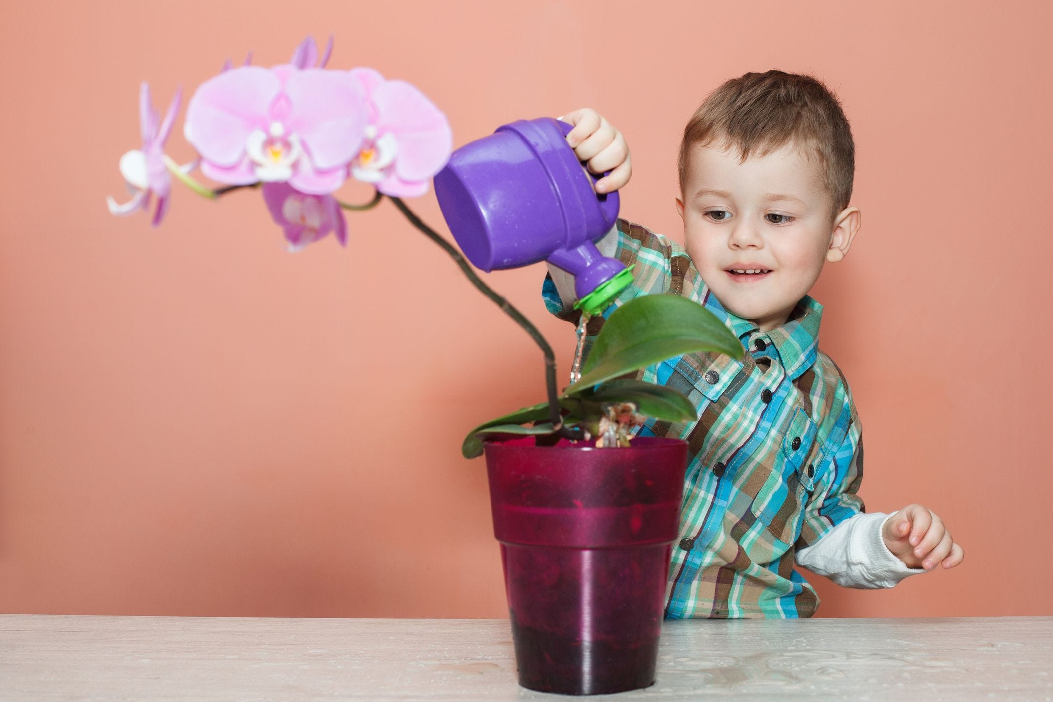 is your kid a dandelion or orchid? science helps sensitive kids thrive
