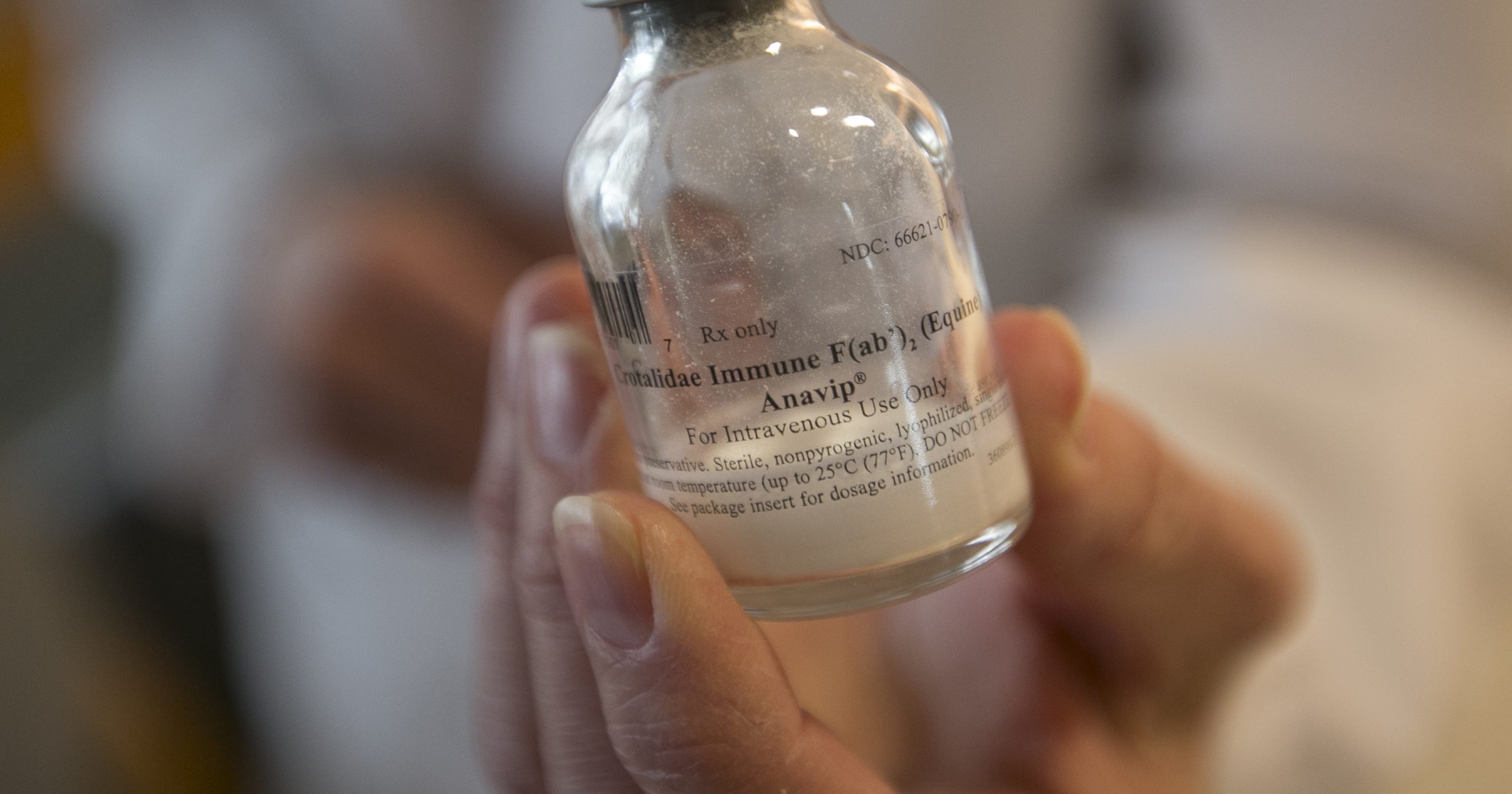 Phoenix man is first to test new U.S. rattlesnake antivenom