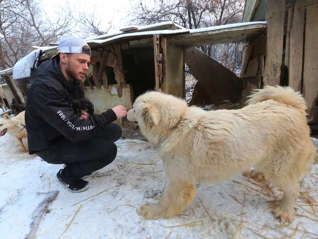South Koreans Eat More Than 2 Million Dogs Every Year But That S
