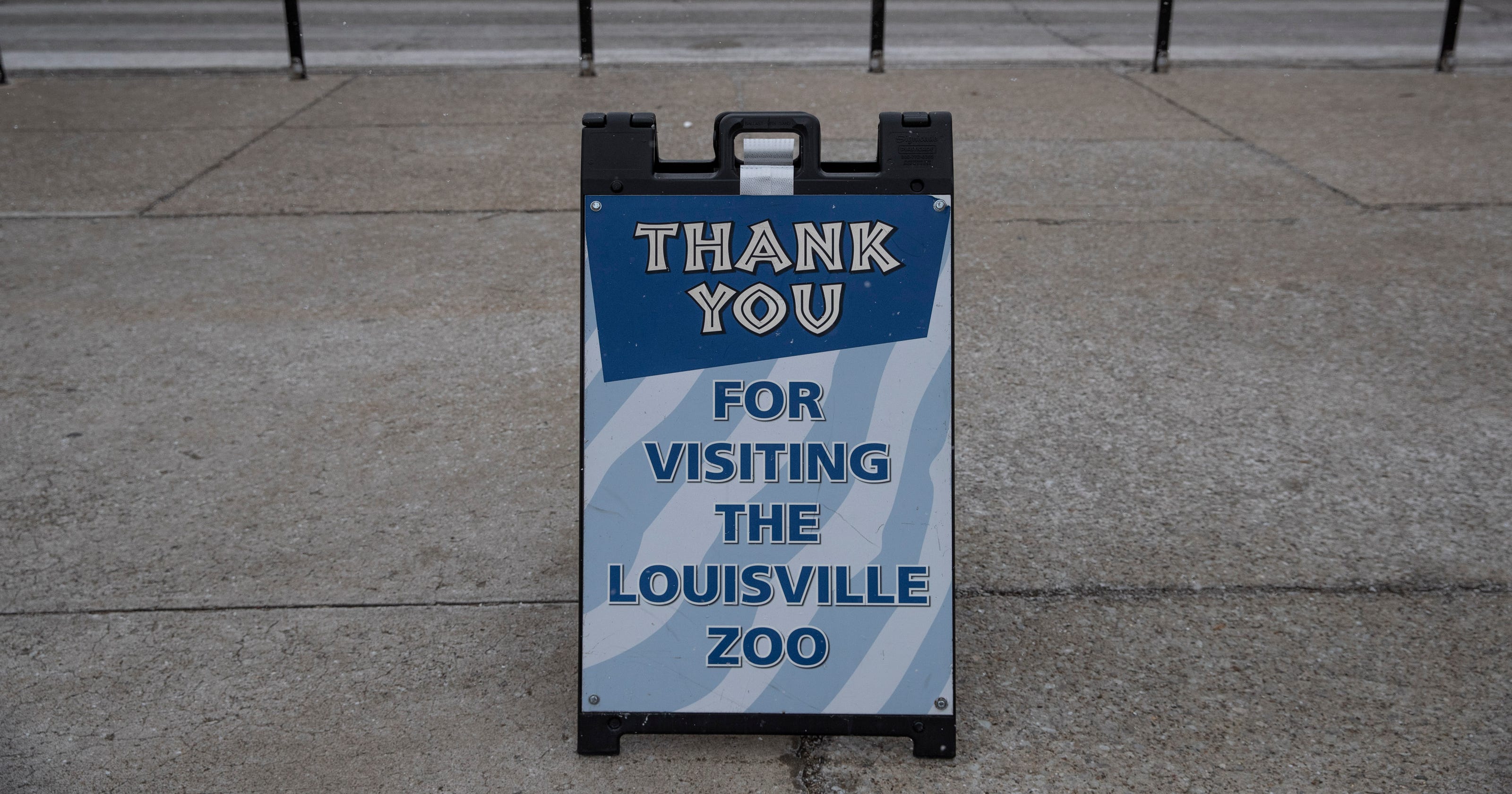 Zoo Lights Tickets Cost - 47 Unconventional But Totally Awesome Wedding ...