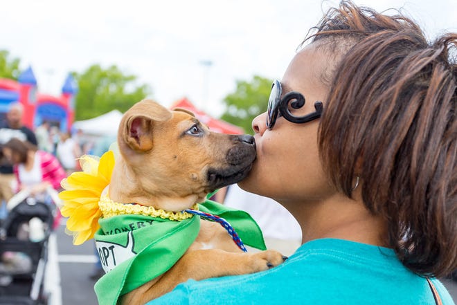 A dog owner enjoys the Fido Fest, which drew about 1,000 animals and their keepers to The Shoppes at EastChase in 2018.  The 4th Annual Fido Fest will be held from 11 a.m. to 2 p.m. on March 30.