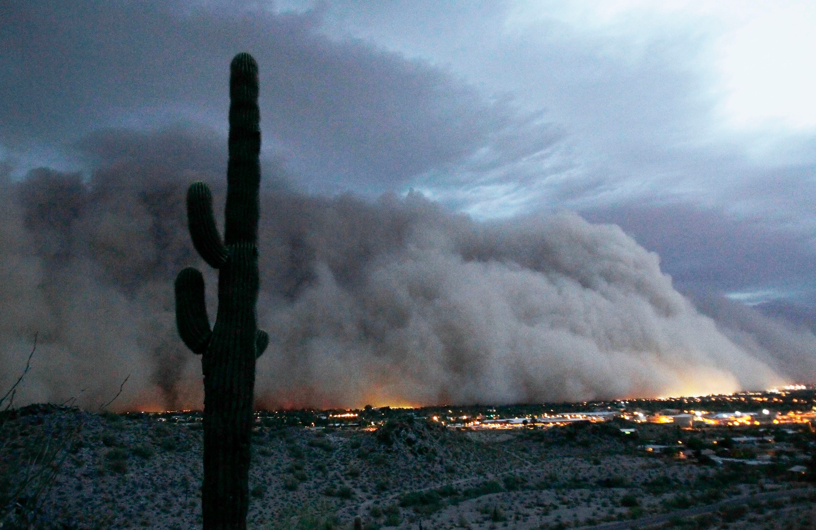 What's a haboob and when did Arizona start using that word?