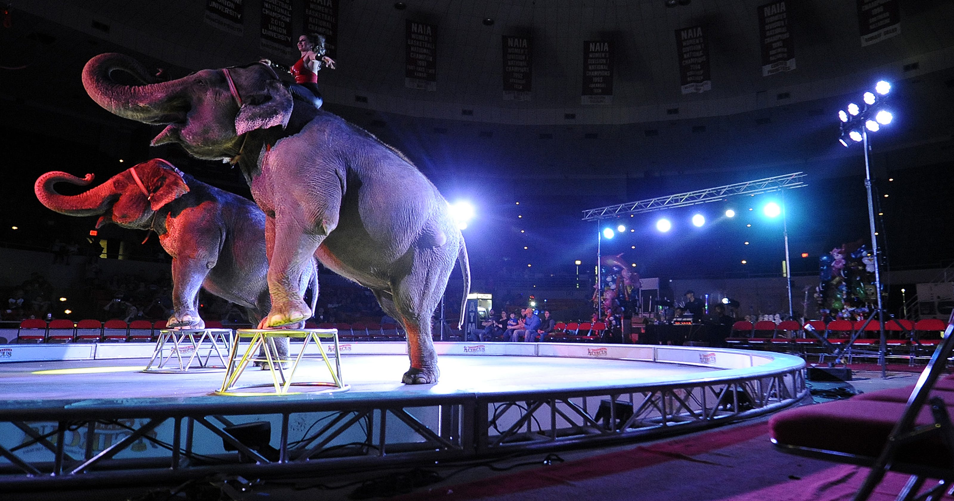 'Worst' circus visits Greenville for center's last show using animals