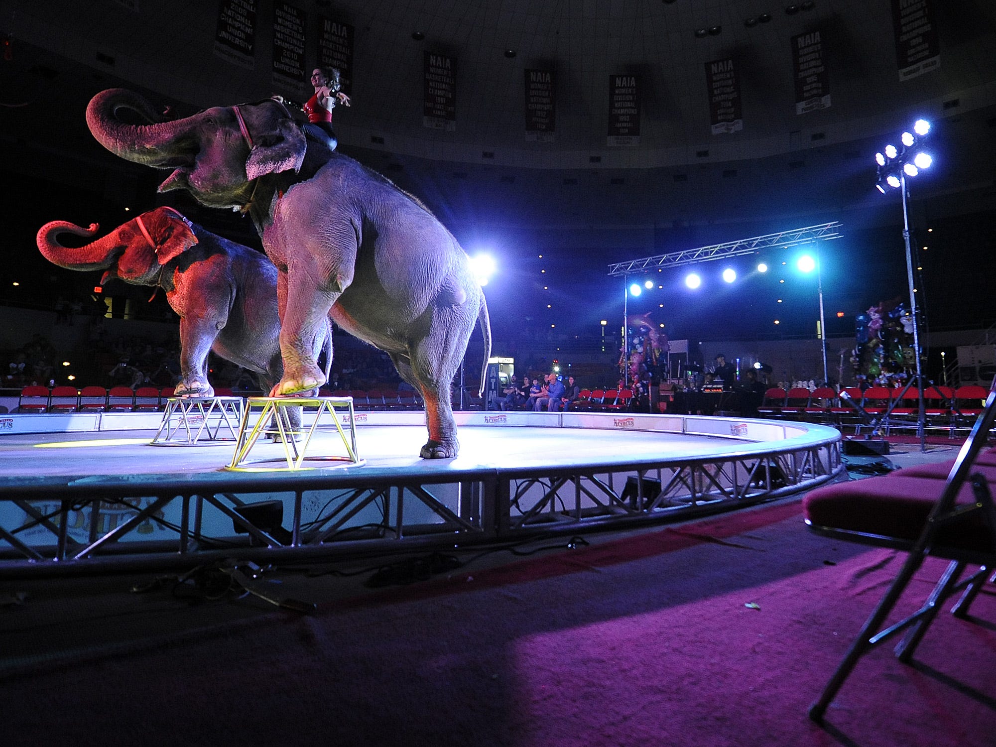 &amp;#39;Worst&amp;#39; circus visits Greenville for center&amp;#39;s last show using animals