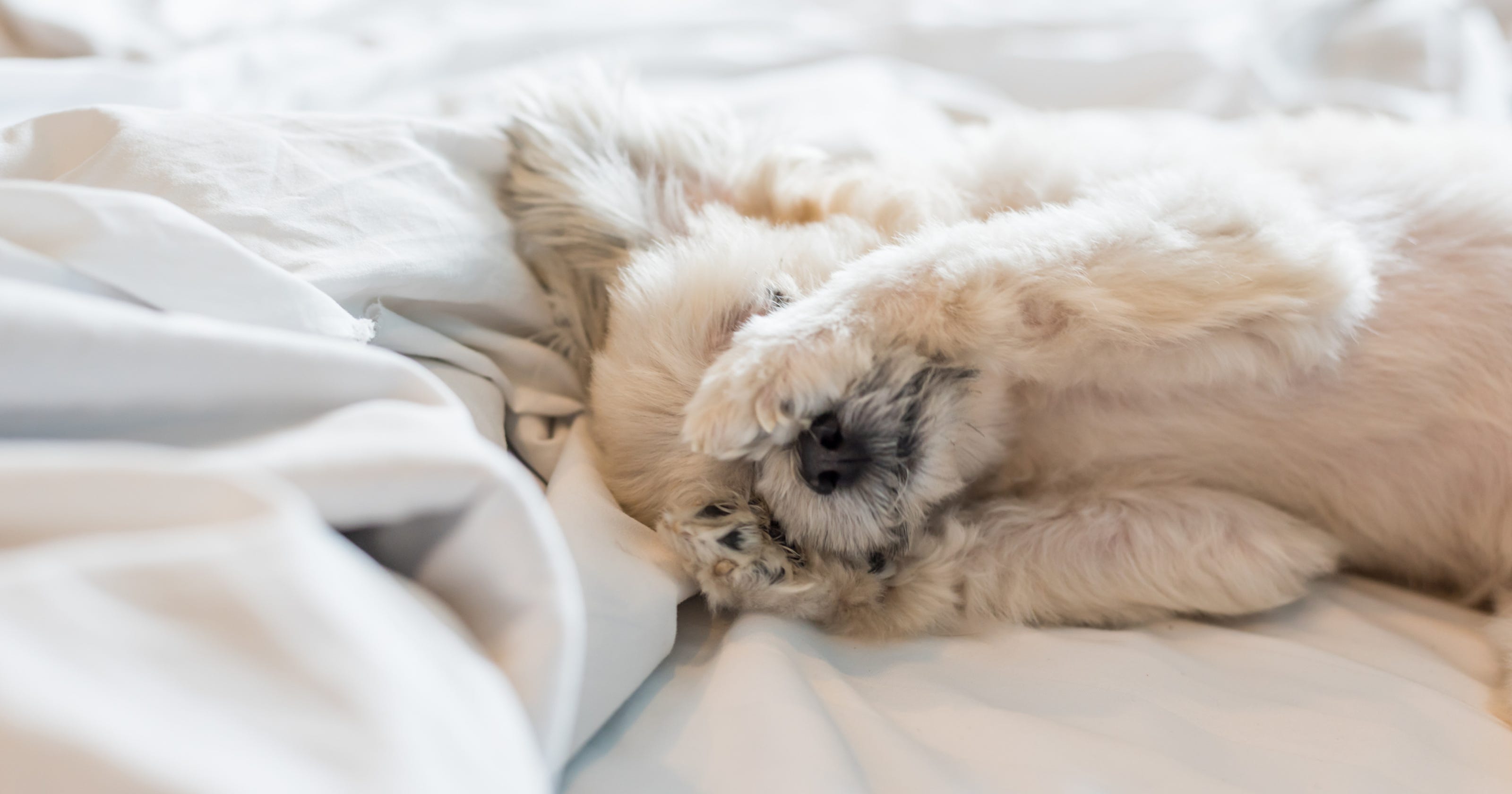 National Napping Day: The holiday we want after daylight 