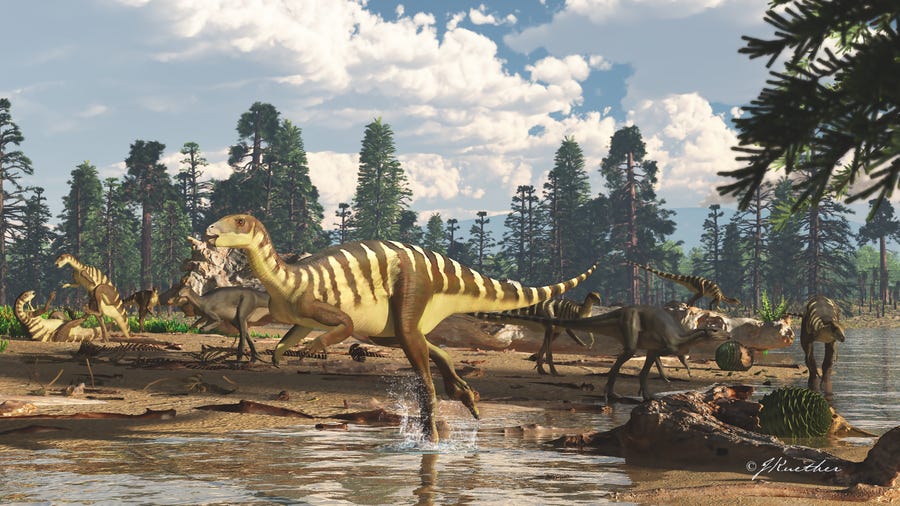 This is an artist's impression of what a Galleonosaurus dorisae herd might have looked like about 125 million years ago.