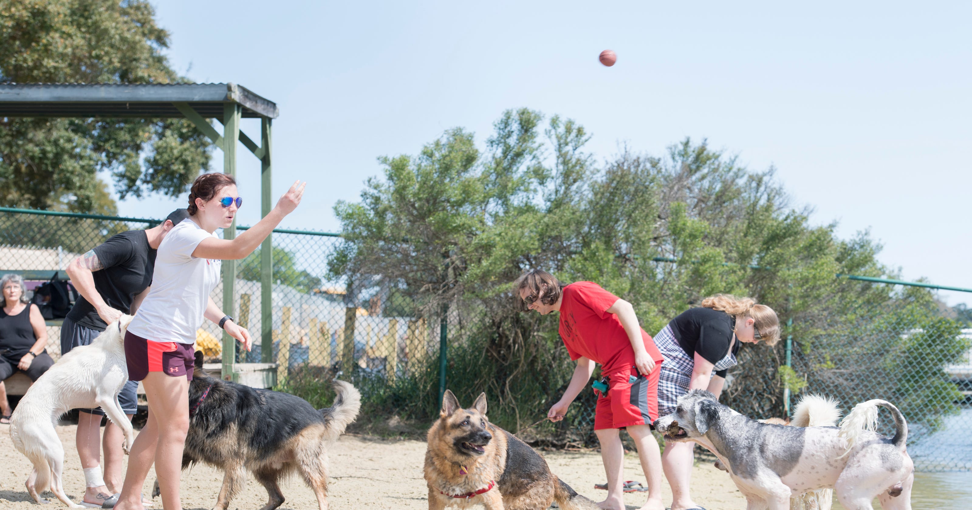 Push for Navarre Beach dog park, dog beach ordinance has tails wagging