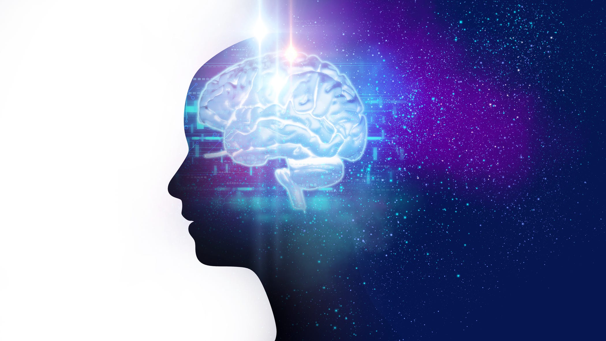 Ask a Scientist: How do thoughts work in our brain?