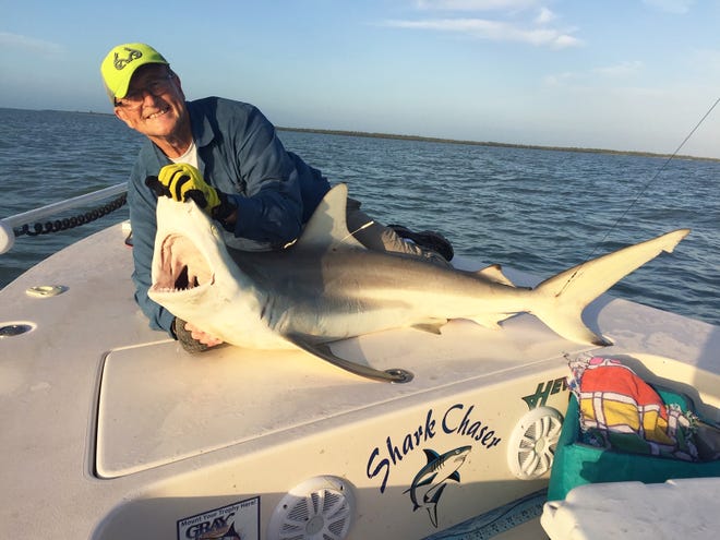 John Budnick with a 5.5 foot blacktip shark caught, tagged and released off Marco Island, using Ladyfish for bait. 