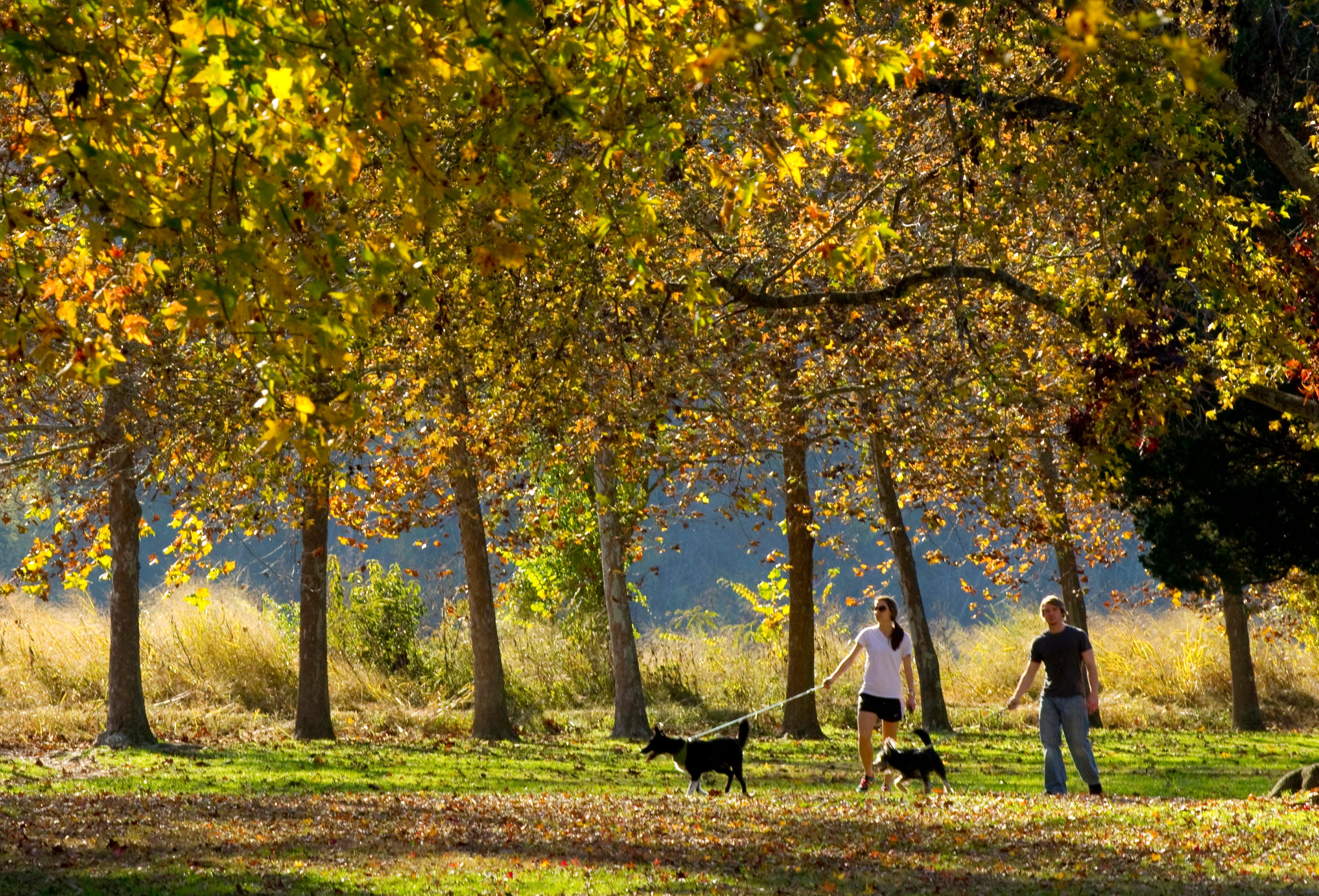 Knoxville breaks record high temperatures for November days