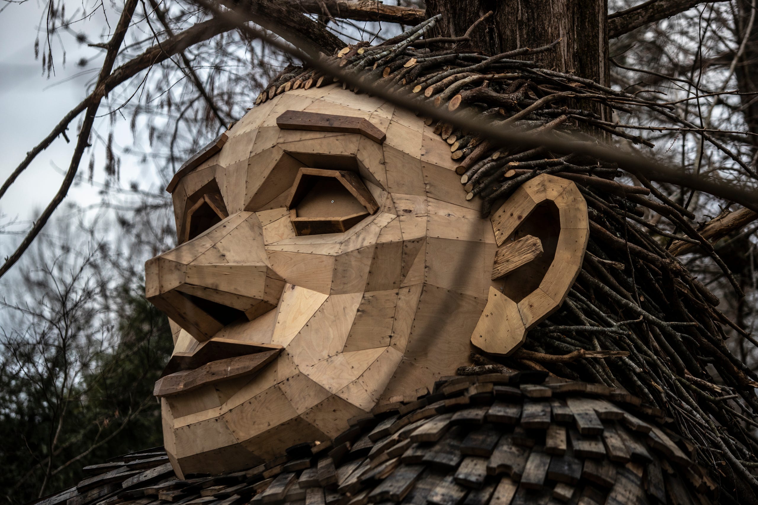 A pregnant Momma Loumari rests against a redwood tree. The giant troll and her two children have taken up residence in Bernheim Forest. The sculpture is the work of Artist Thomas Dambo. March 15, 2019.