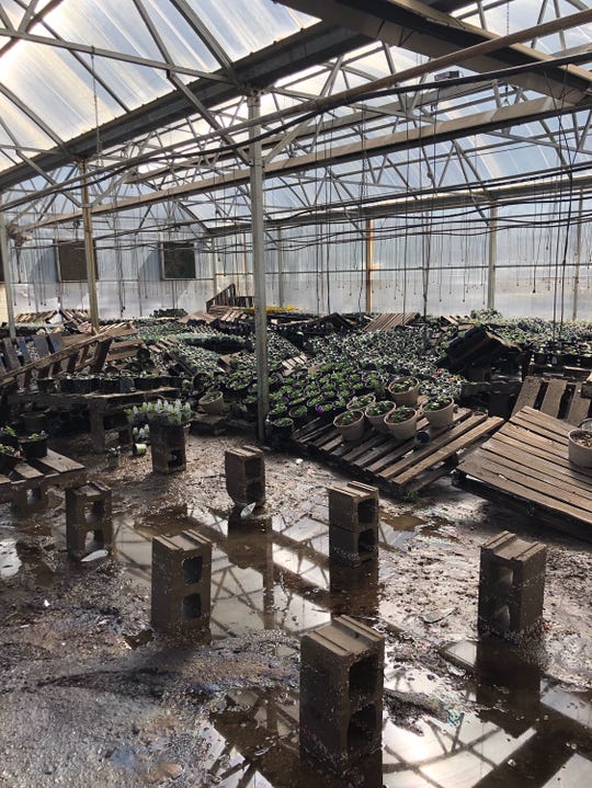 Sioux Falls flooding Cliff Avenue Greenhouse faces 'heartbreaking