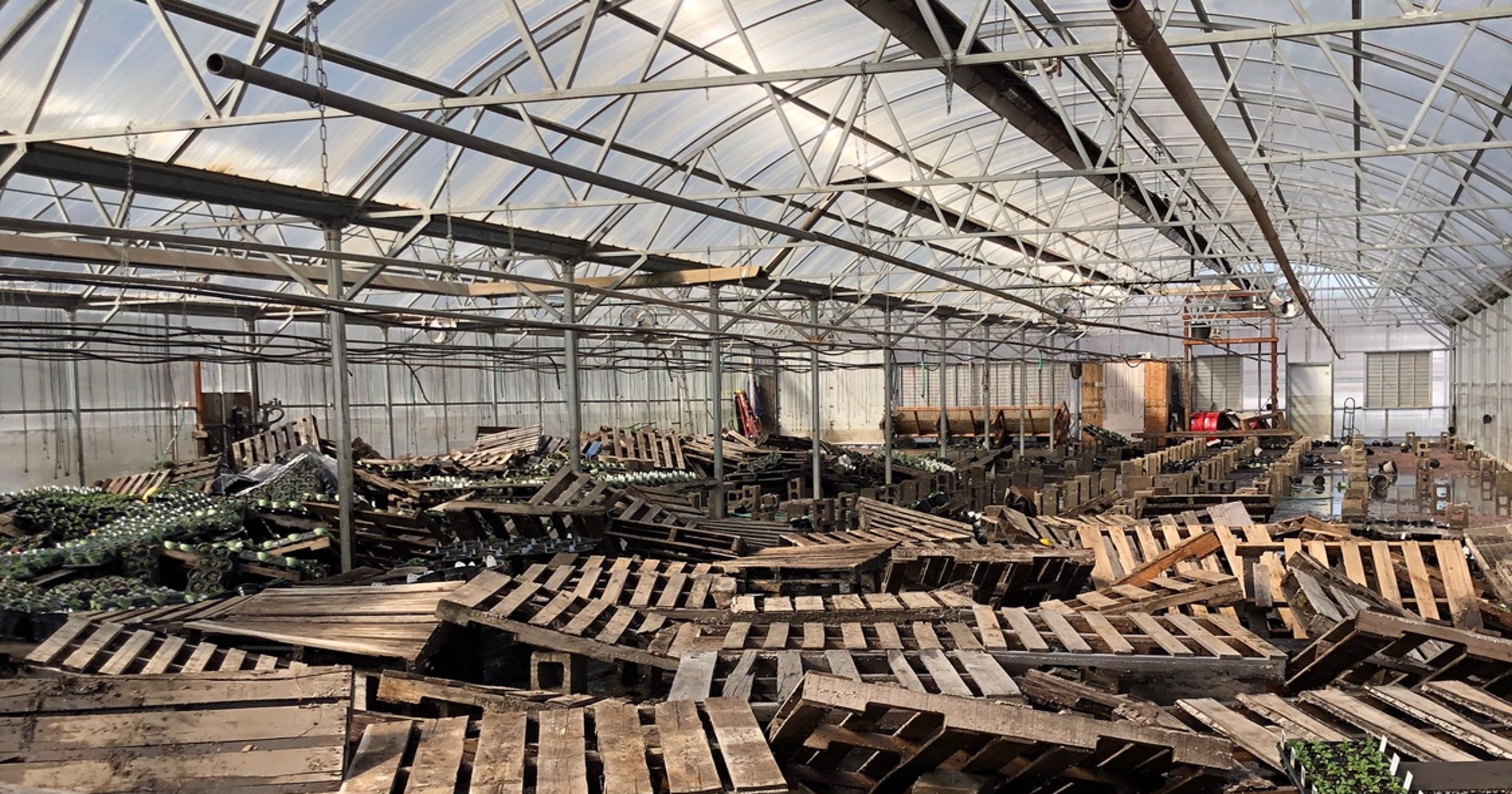 Sioux Falls flooding Cliff Avenue Greenhouse faces 'heartbreaking' flood damage