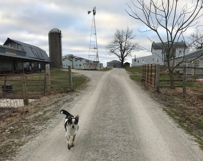 Johnny Schwartz, who is Amish, owns this 50-acre farm near Seymour, which includes the Hilltop Buggy Shop. He says Amish construction laborers are prohibited from owning power tools but may use them if they are provided by the contractor who hired them.