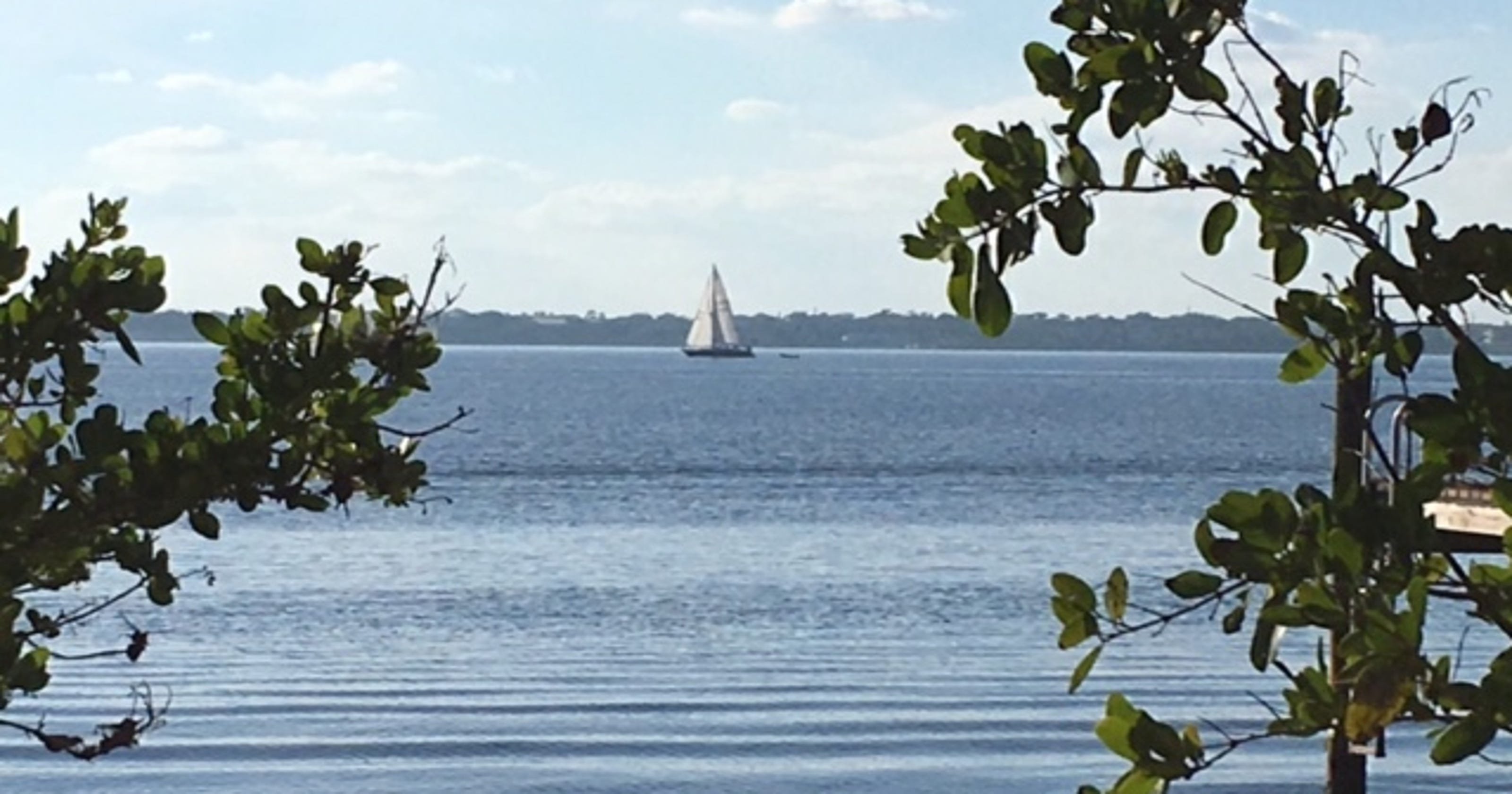 Scenic views of Merritt Island's Tropical Trail