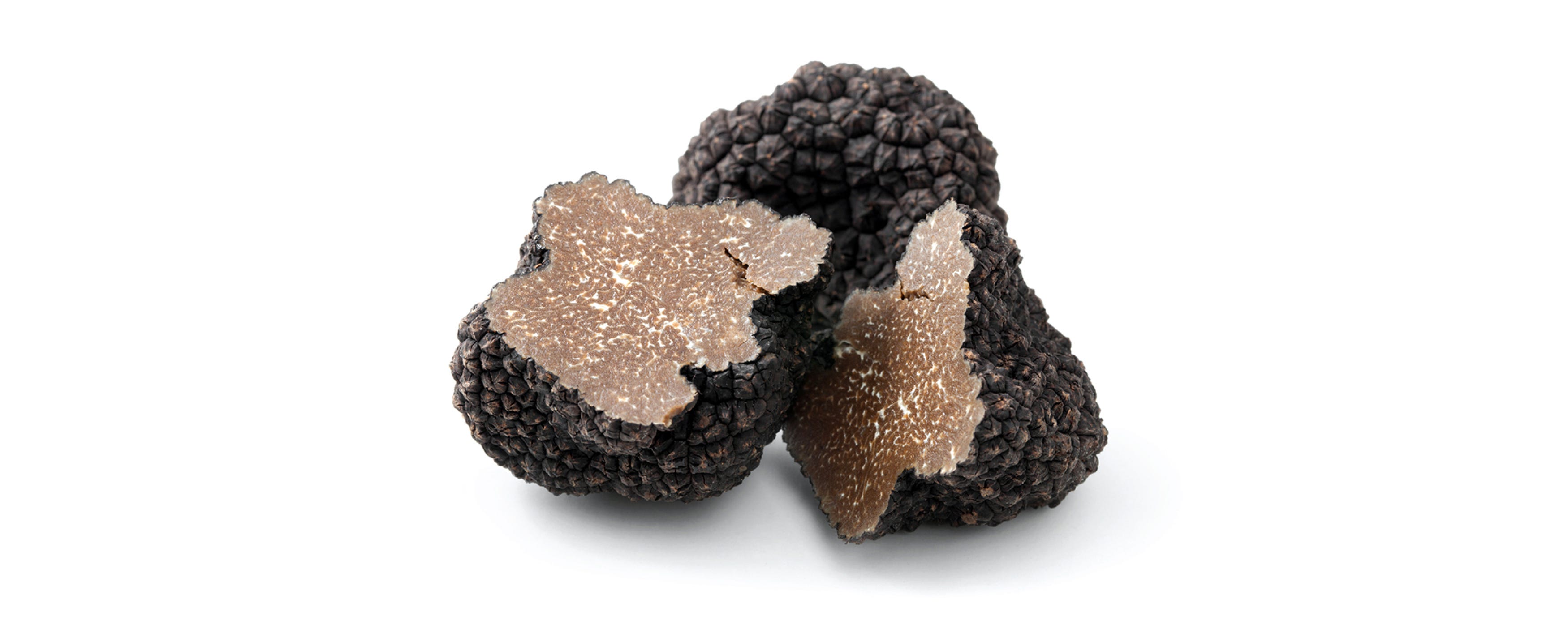 0cb40a66-e717-4dac-83c5-d66fd2021c83-truffle222-01.jpg?width=3500