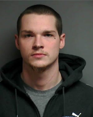Alexander Gerth of Utica pleaded no contest to killing/torturing an animal March 18, 2019 in Macomb County Circuit Court. He was charged in the brutal death of an adopted dog named Sterling that was found fatally stabbed in Grant Park in Utica on Jan. 24, 2019.