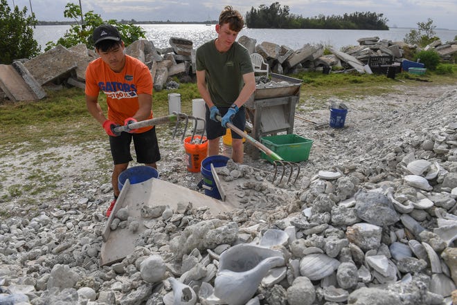 Vero Beach High School seniors (from left) Chris In, 17, and Logan Votzi, 18, volunteer during spring break, to help make shell bags, on Monday, March 18, 2019, along the shore of the Indian River Lagoon at the southwest corner of the 17th Street Alma Lee Loy Bridge behind the water treatment plant, during the Ocean Research & Conservation Association's (ORCA) shell bagging day for the Living Lagoon Program. The program is about actively restoring the Indian River Lagoon through habitat restoration and education.